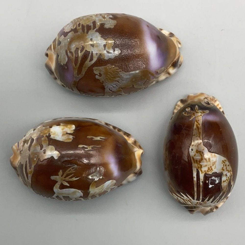 Vintage Carved Purple Top Cowrie Tiger Shells Cameo Set of 3